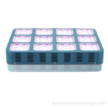 LED Grow Light for Greenhouse Induction Grow Light for Fruit Flower and Grow Light LED in Shenzhen